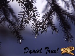 Ballade en Raquettes